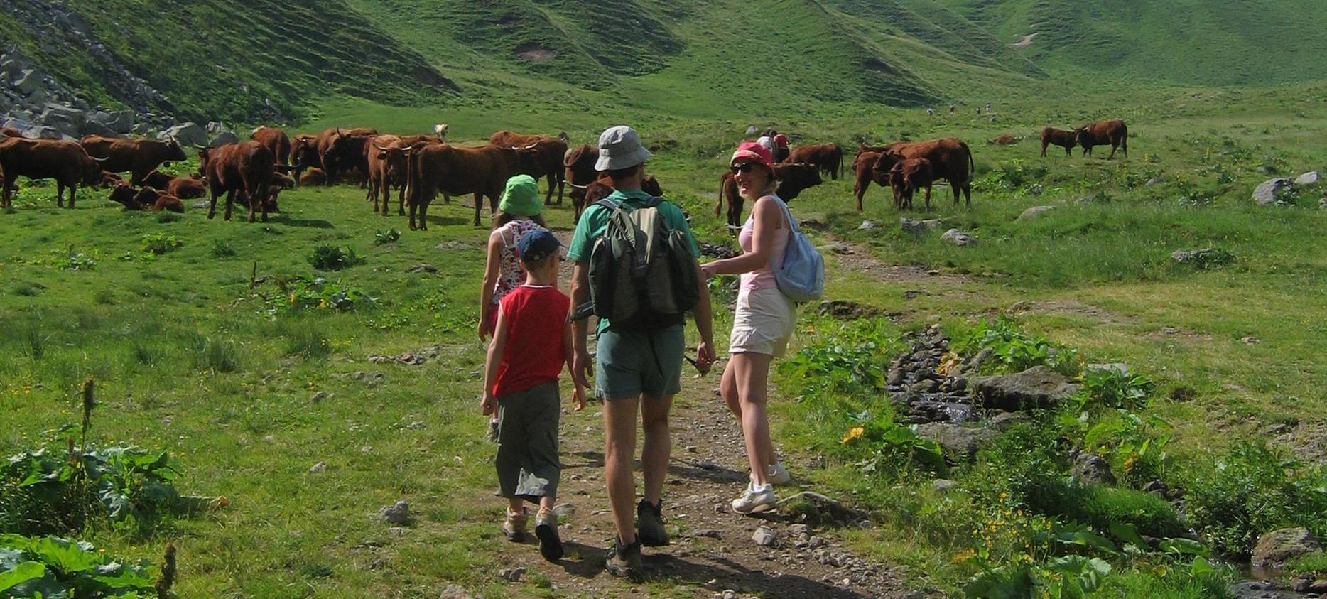 Sancy Massif: Family Hikes in the Heart of Nature