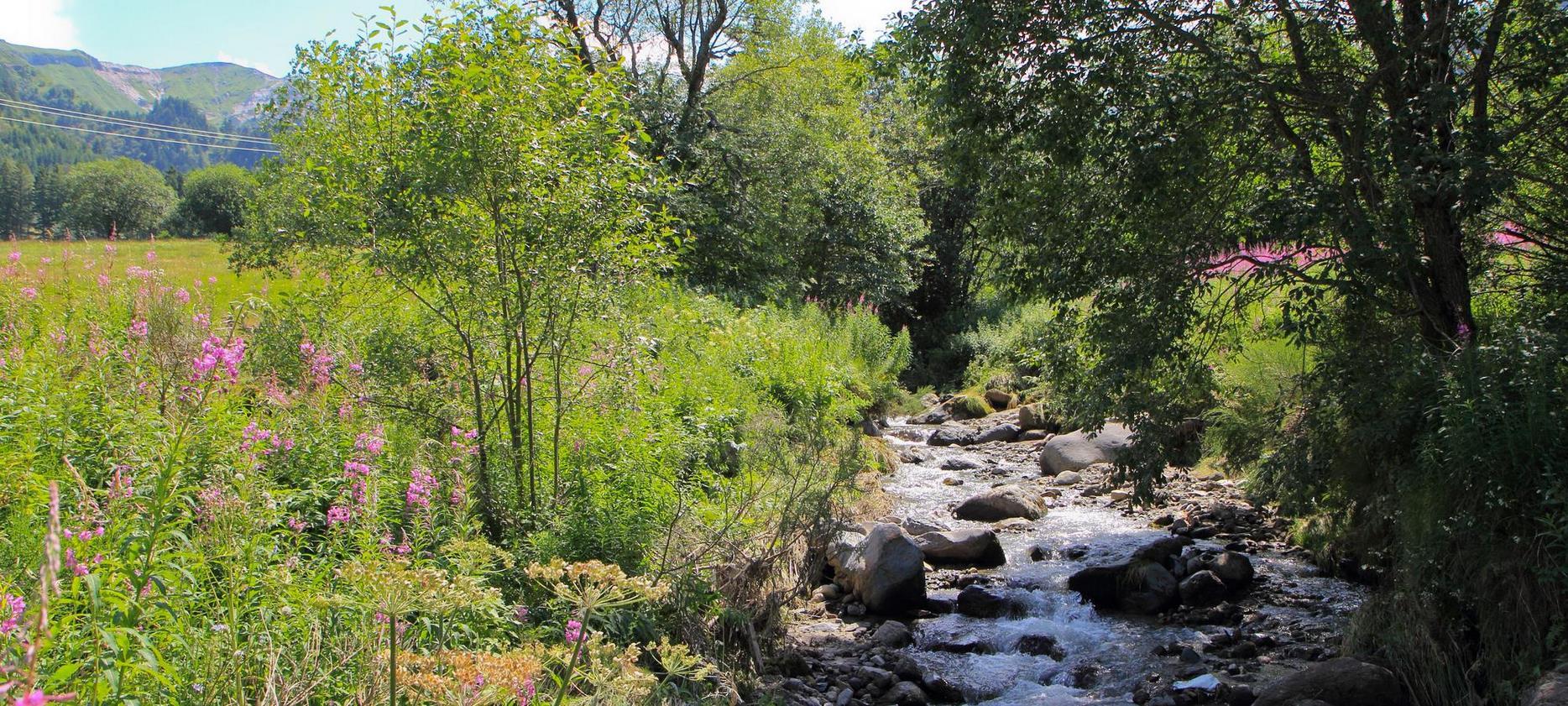 Sancy Massif: The Source of the Dordogne, a Mythical Place