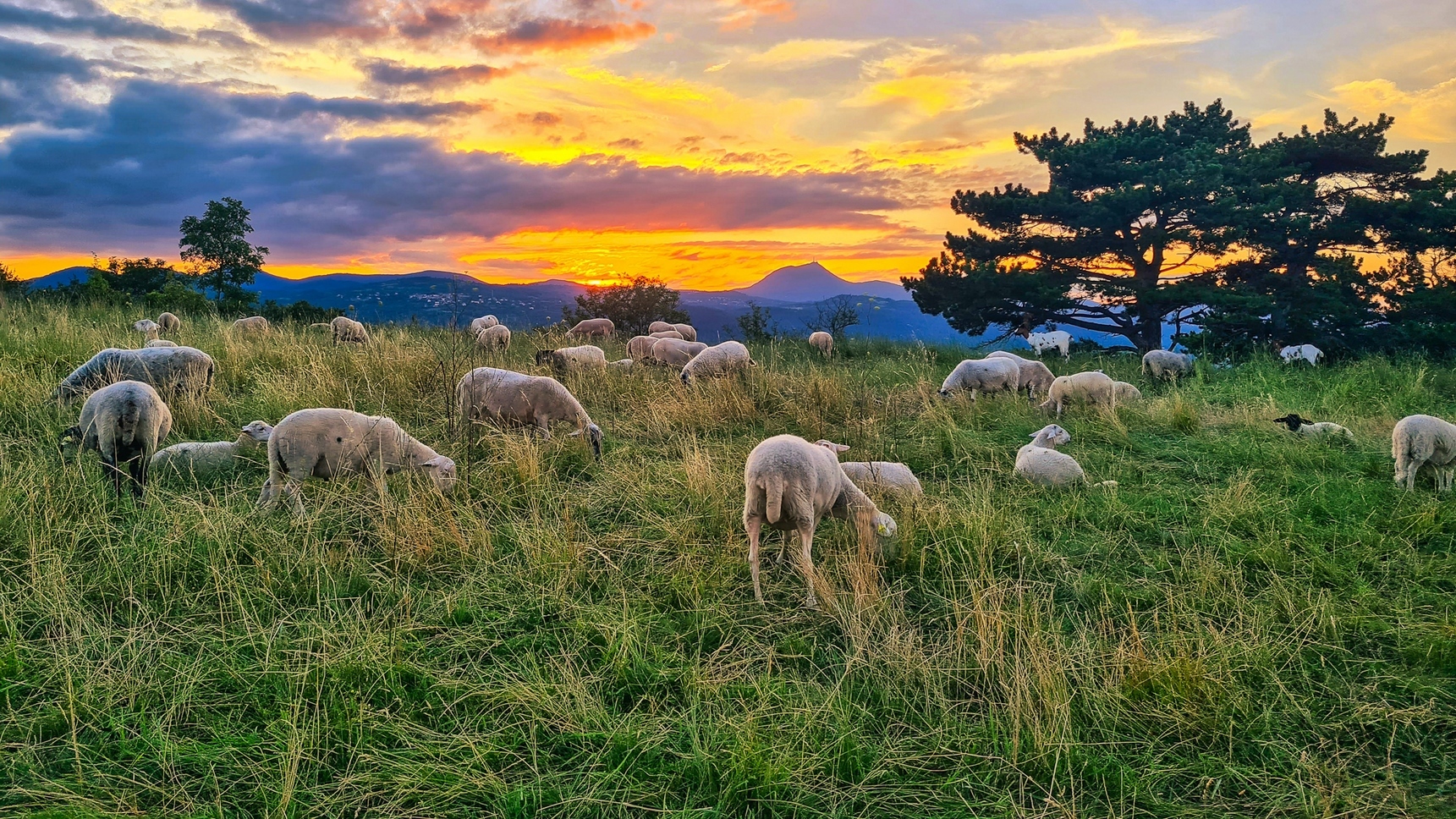 Gergovie Plateau - Sunset - Chaîne des Puys and Puy de Dôme - Magic Show