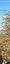 Chalet Ma Cambuse Super Besse: Panoramic View under the Autumn Colors