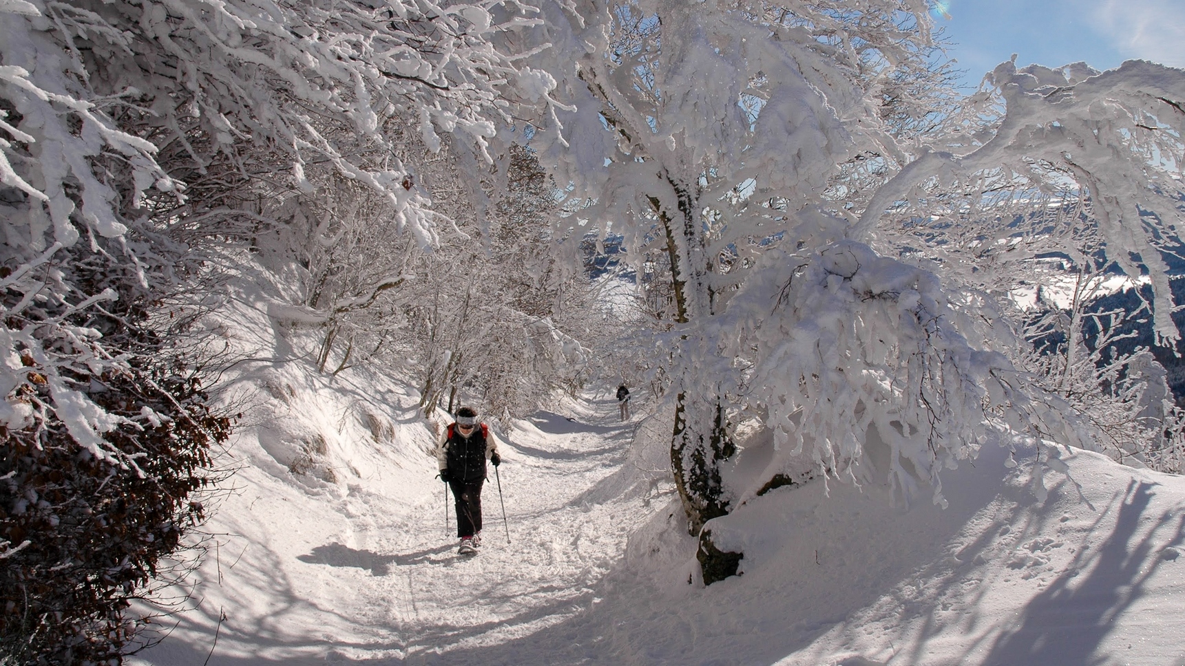 Muleteers' Trail: Historic Hike to the Summit of Puy de Dôme