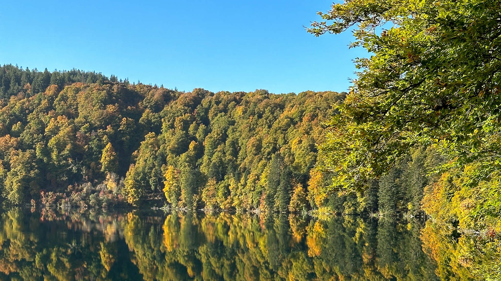 Lac Pavin: Trees Dressed in Autumn Colors