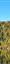 Lac Pavin: Trees Dressed in Autumn Colors