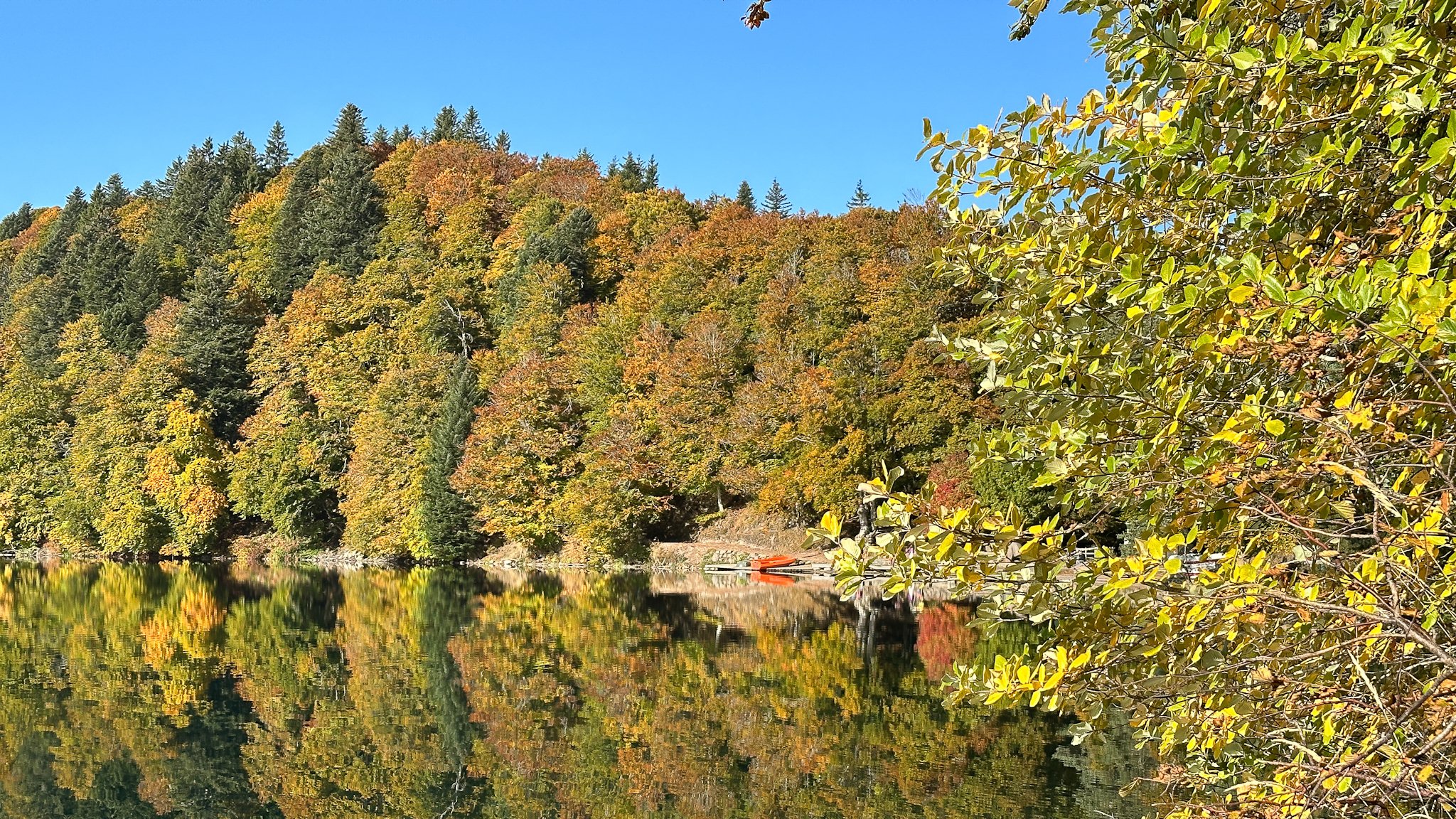 Lac Pavin: Harmony of Autumn Colors