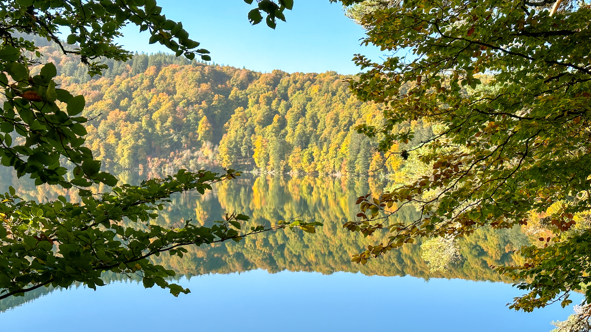 Lac Pavin: Magic of Autumn Colors