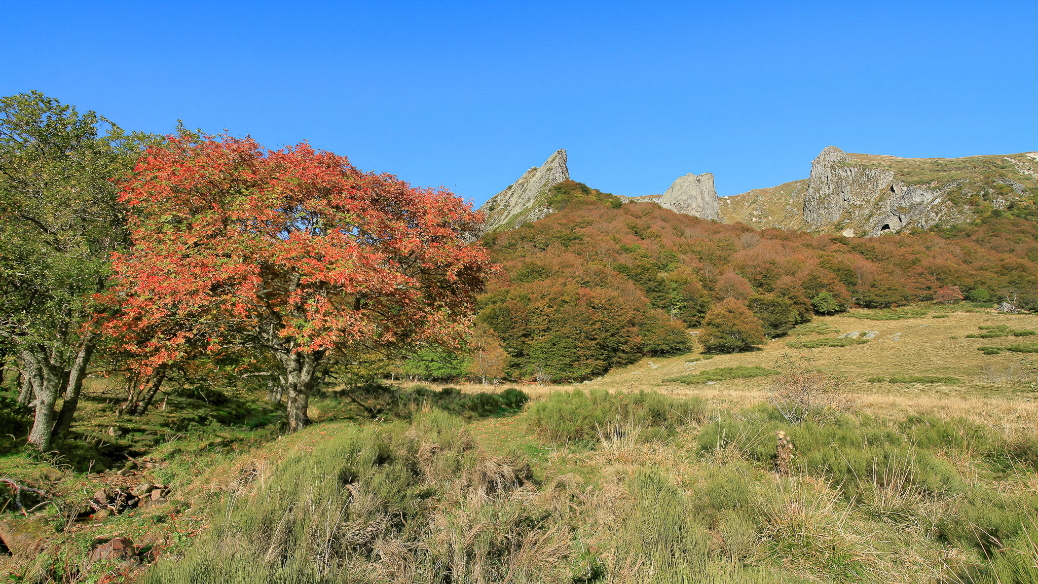 Chaudefour Valley in Autumn: Tree Fires and Magical Landscapes