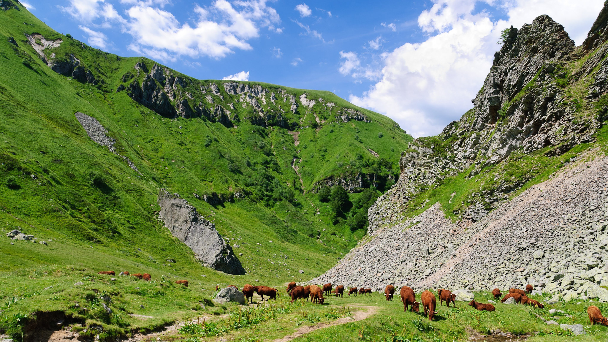 Val de Courre: Estives of the Massif du Sancy - Holidays in the Heart of Summer