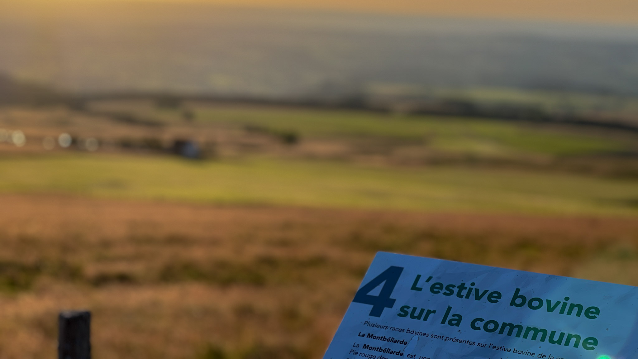 Banne d'Ordanche: Estives of the Massif du Sancy - A Path to the Summit