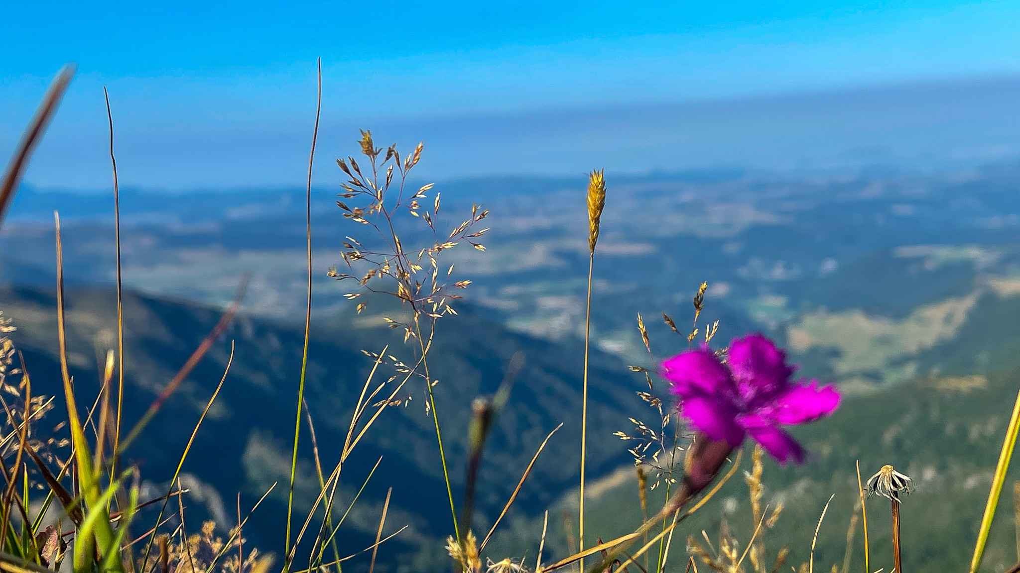 Puy de la Perdrix: Magnificent panorama of the Chaudefour Valley