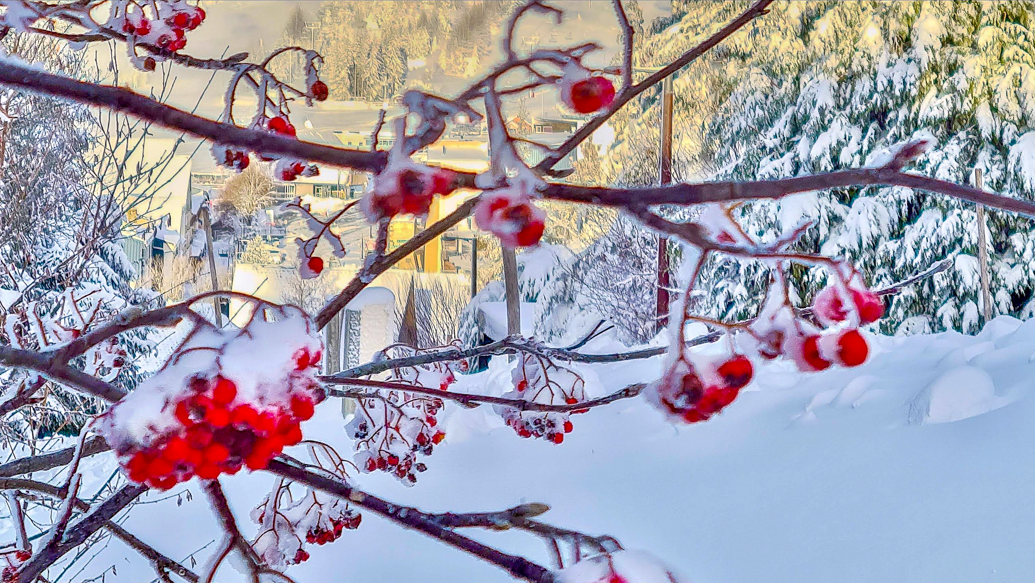 Chalet Ma Cambuse Super Besse - Softness in Fresh Snow