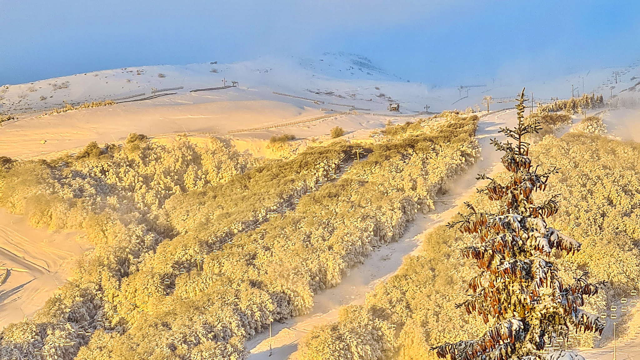 Chalet Ma Cambuse Super Besse - magical snow-covered trees