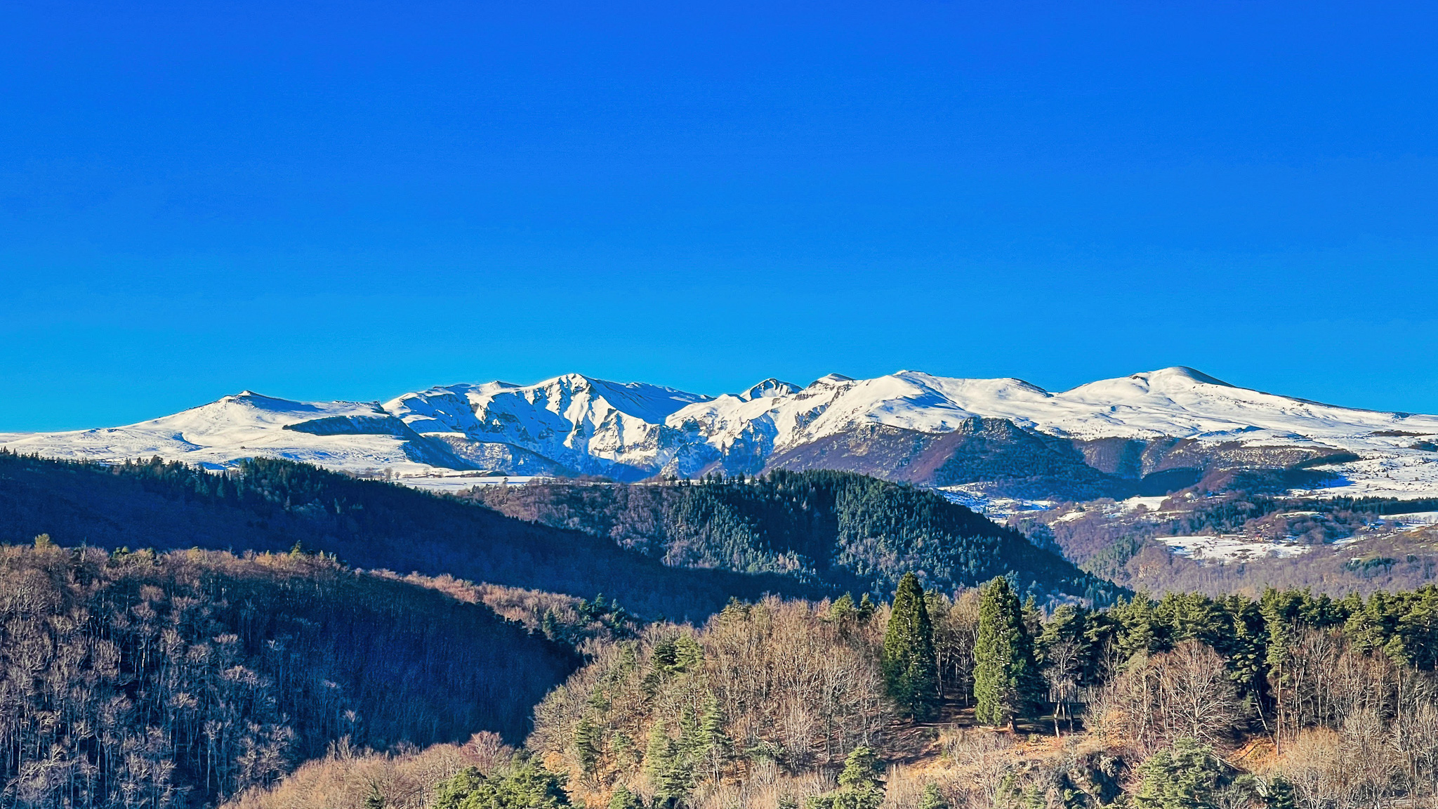 Sancy massif: Walk in the Auvergne forest, a green setting.