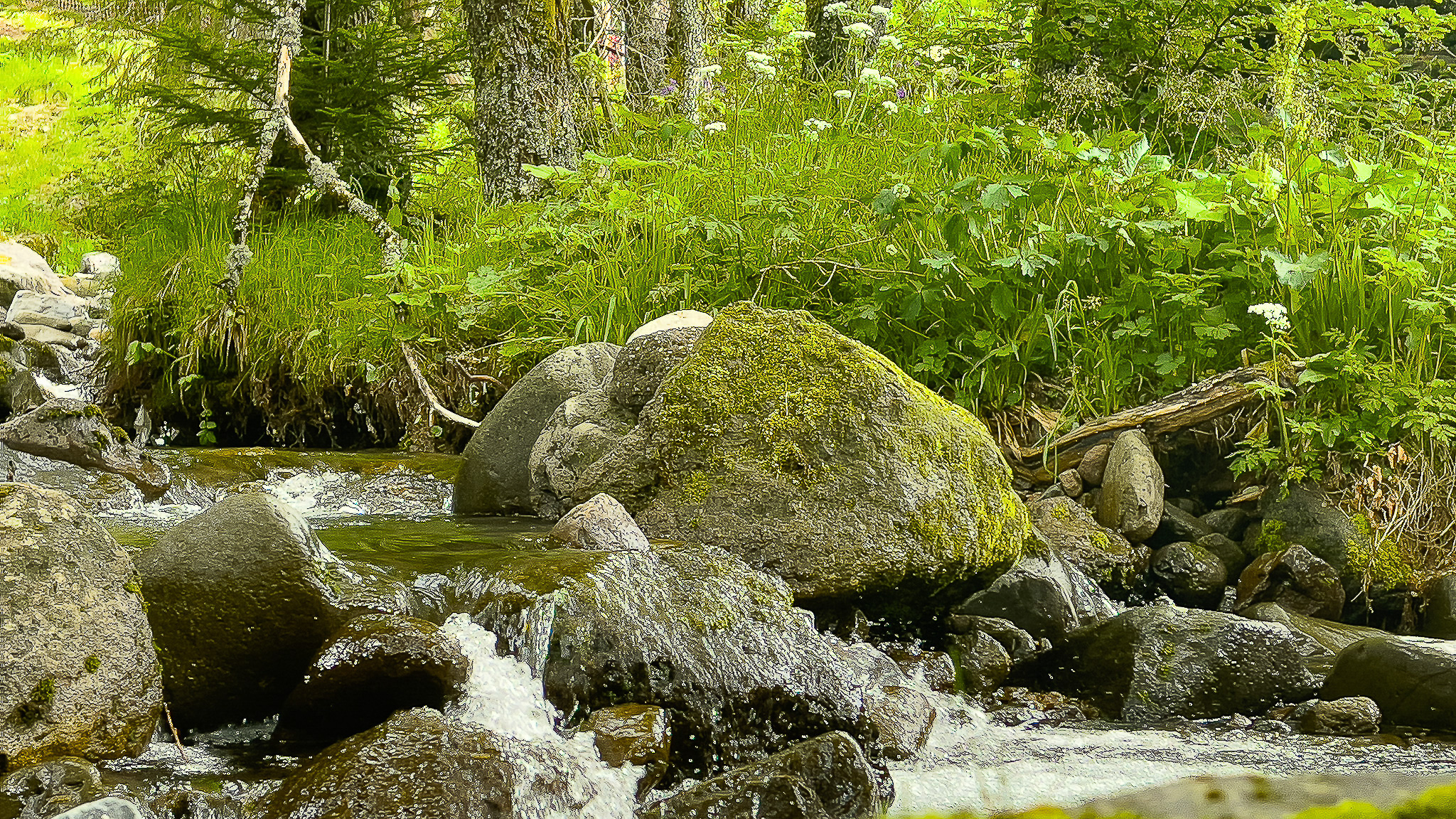 Sancy massif: At the sources of the Dordogne, from Puy de Sancy to Mont Dore