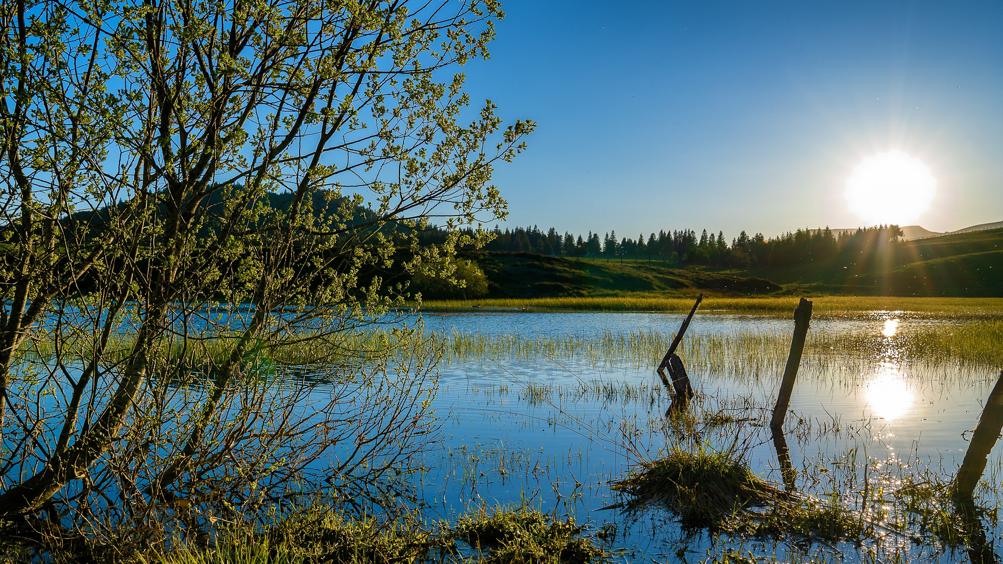 Super Besse: Lac de Bourdouze, a hidden gem between Lac Pavin and Lac de Montcynere.