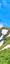 Sancy Crests: Puy Ferrand - Panoramic Hike
