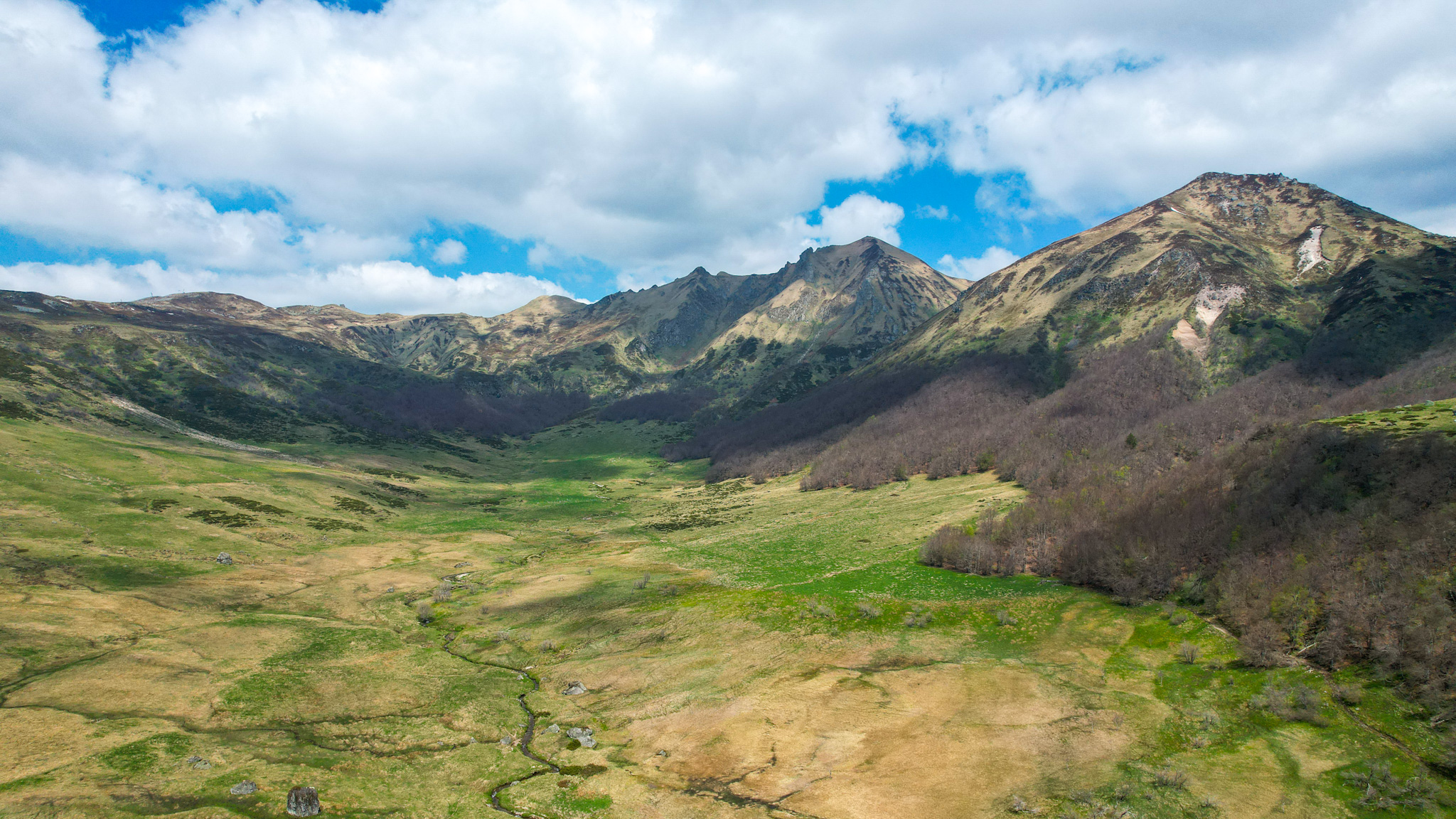 Discover the Fontaine Salée Nature Reserve, a jewel of the Sancy Massif.