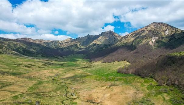 Discover the Fontaine Salée Nature Reserve, a jewel of the Sancy Massif.