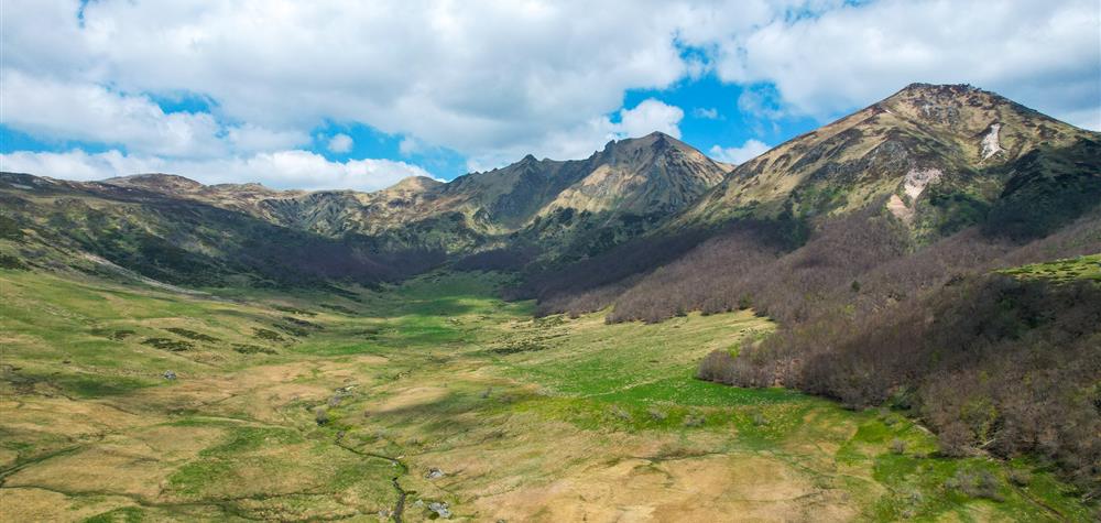 Discover the Fontaine Salée Nature Reserve, a jewel of the Sancy Massif.