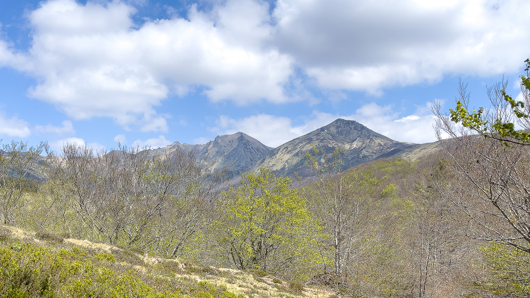 Fontaine Salée: Natural Harmony and Majestic Summits of Sancy