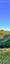 Au Capucin: Panorama of the Sancy Massif