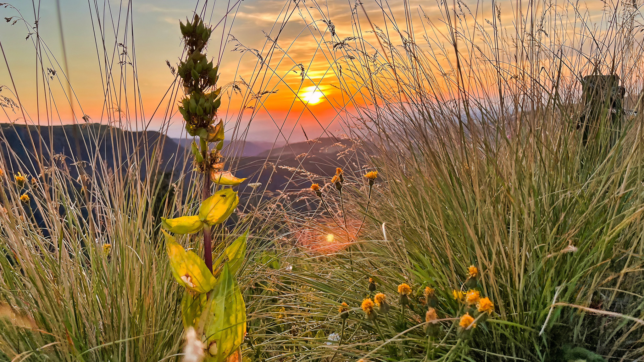 Capucin Summit at Mont Dore: Magical Sunset