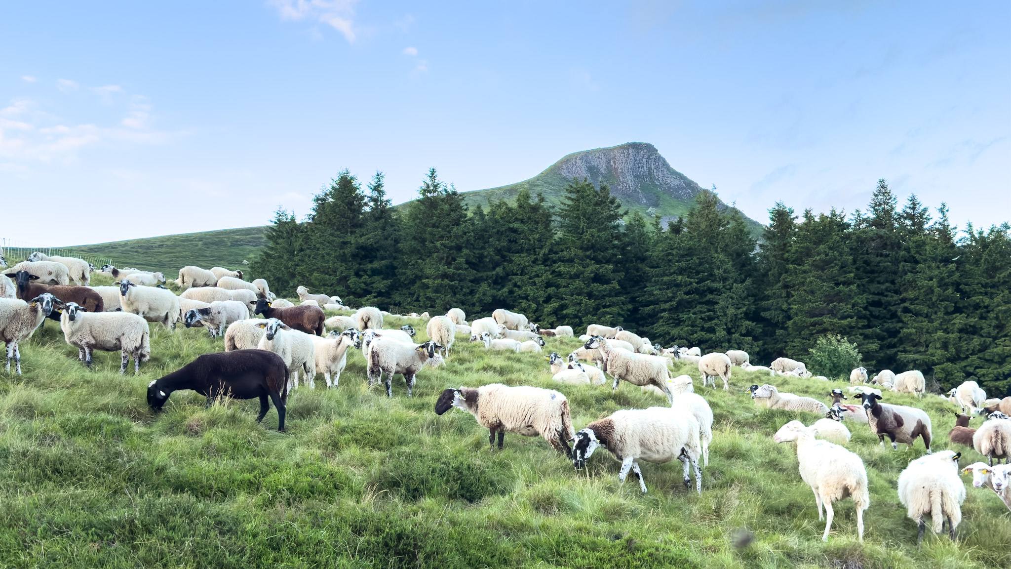 Banne d'Ordanche: Discover the summer pastures above La Bourboule.