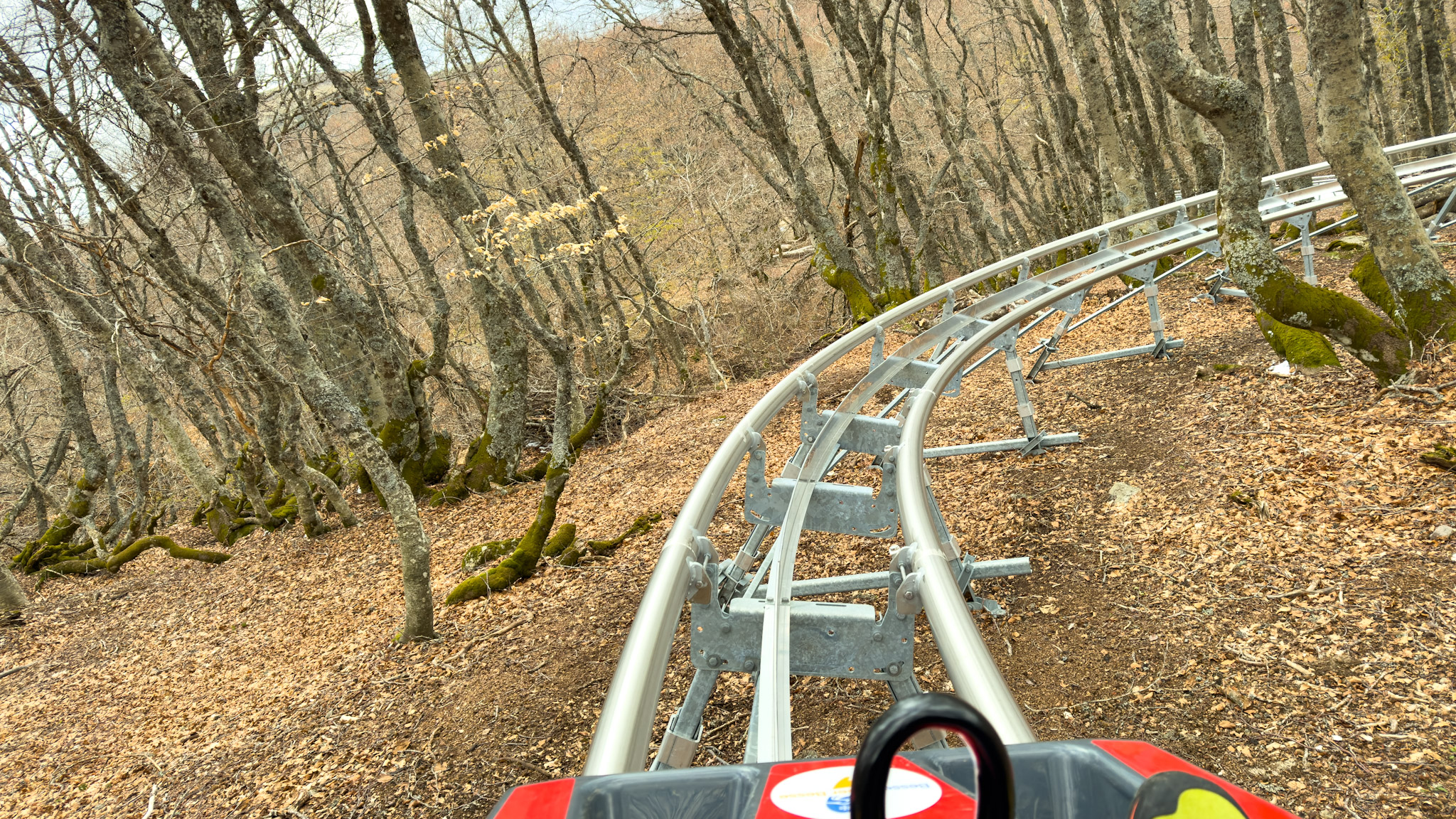 Super Coaster Super Besse: Frantic Descent Through the Woods