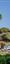 Villa with a 3000m2 garden in Sainte Maxime